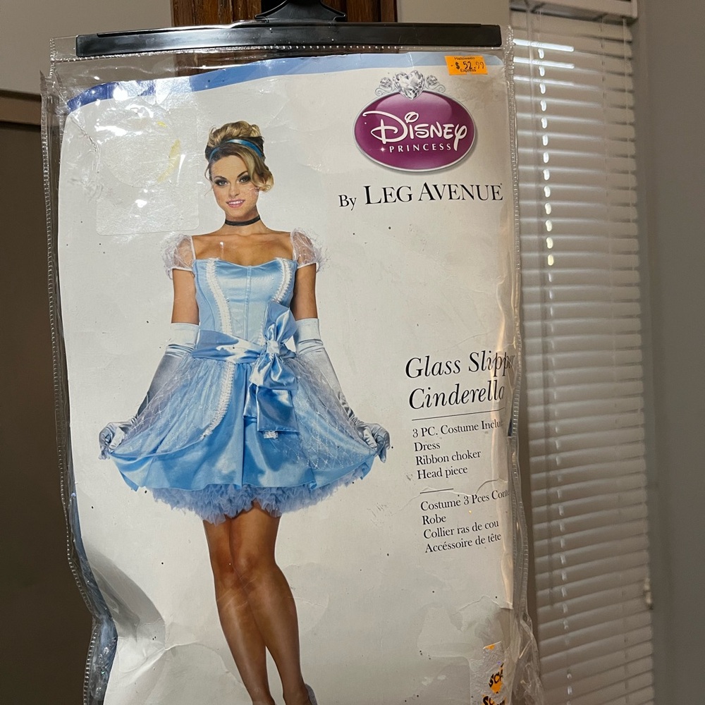 Leg Avenue Blue Cinderella Costume-size is small